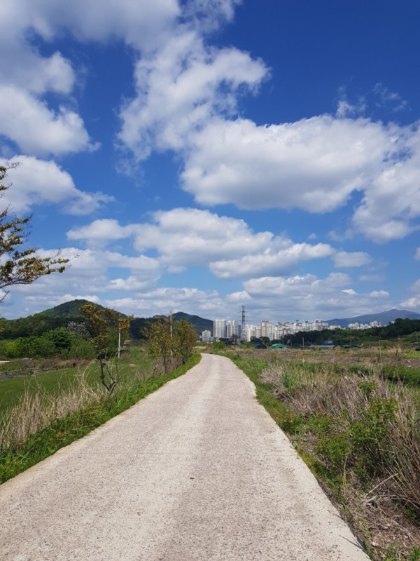3d443efe756f98bb55d746d8ed671b6c_1620093599_2341.jpg